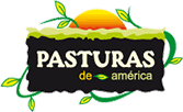 Pasturas de América