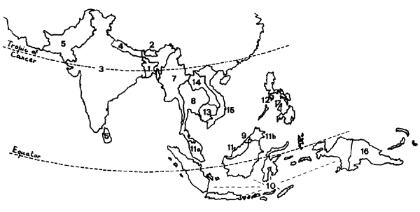 Localización a nivel mundial de la ecoregión correspondiente a Asia Tropical