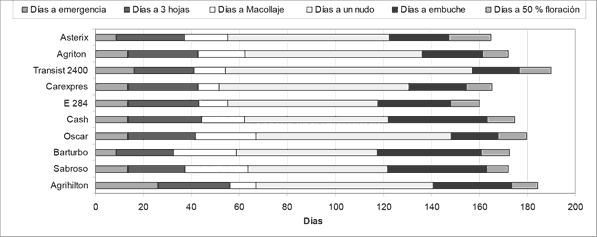 Figura 2.